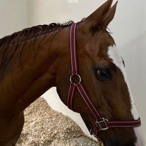 Meet your Posher, Anya